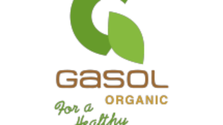 2498151_a3fecee5-5139-431d-84f6-90cd1eadcdc7